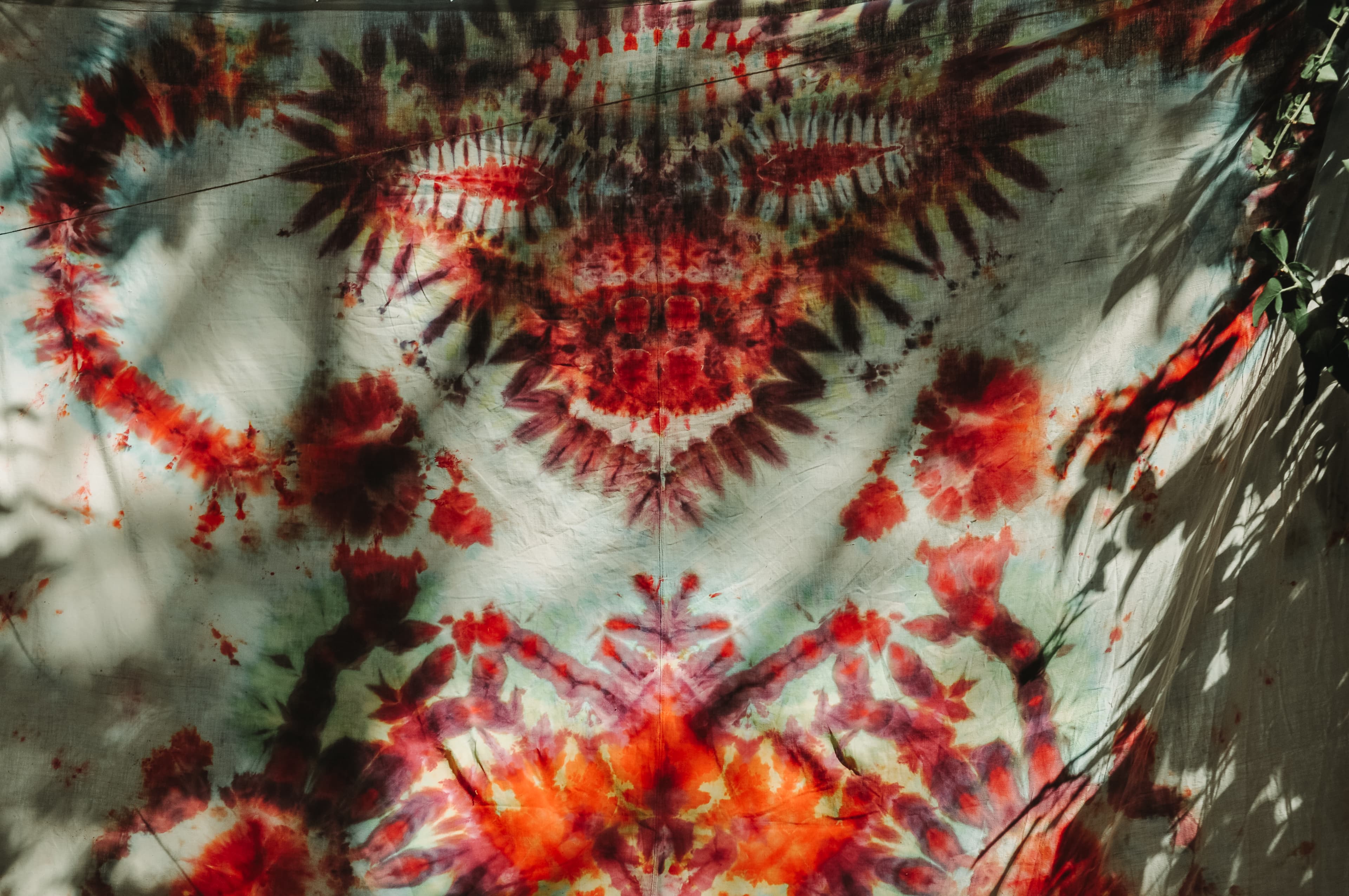 И.М.А. 2025 — снимка 8